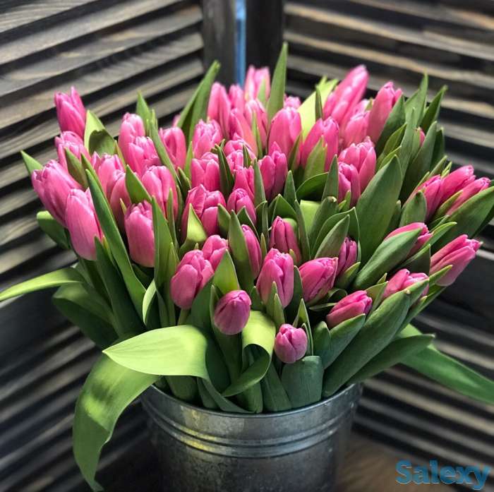 Тюльпаны оптом, фотография 2