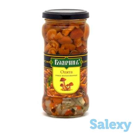 Опята маринованные с/б, ж/б, фотография 2