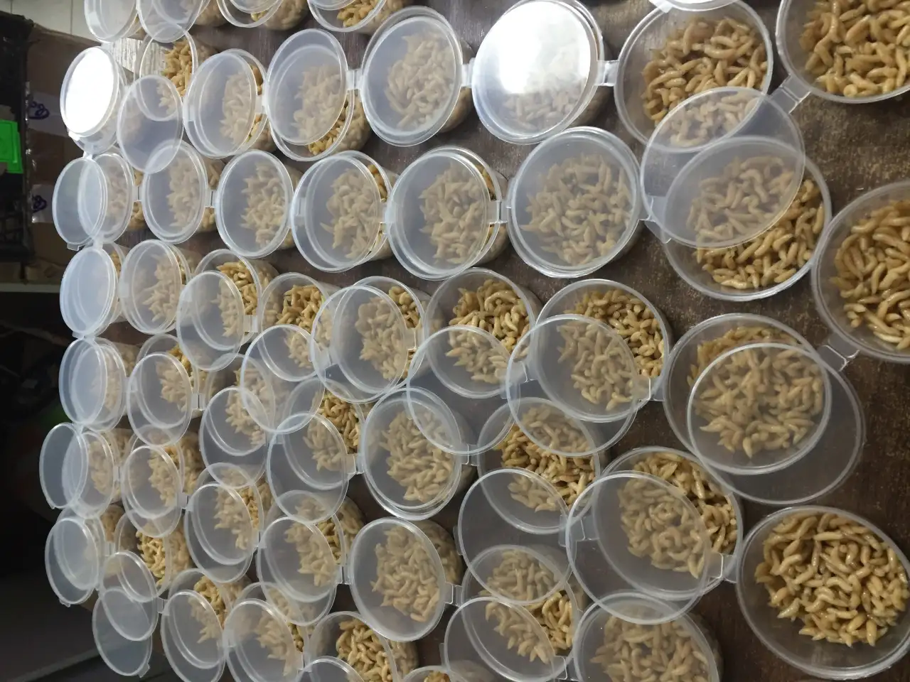 Опарыш опт розница, фотография 3