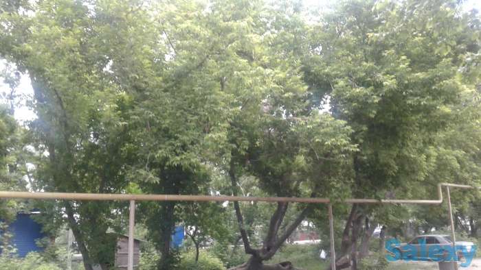 Срочно дом продам, фотография 10