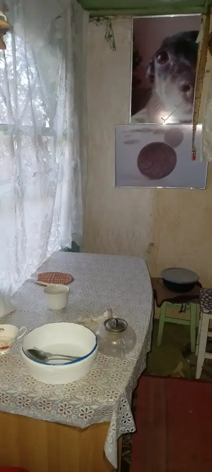 Дача Пригородное, фотография 6