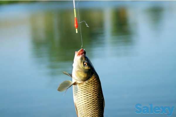 Рыбалка Капчагай, фотография 1