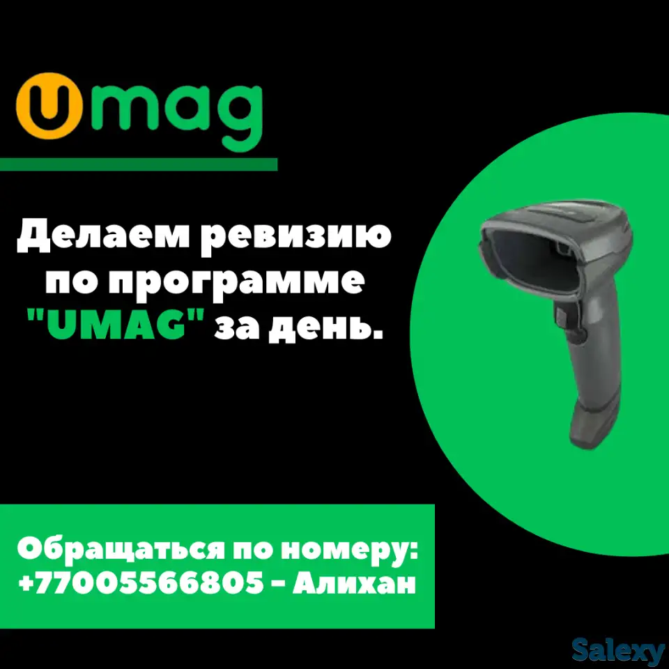 Ревизия в системе UMAG, фотография 1