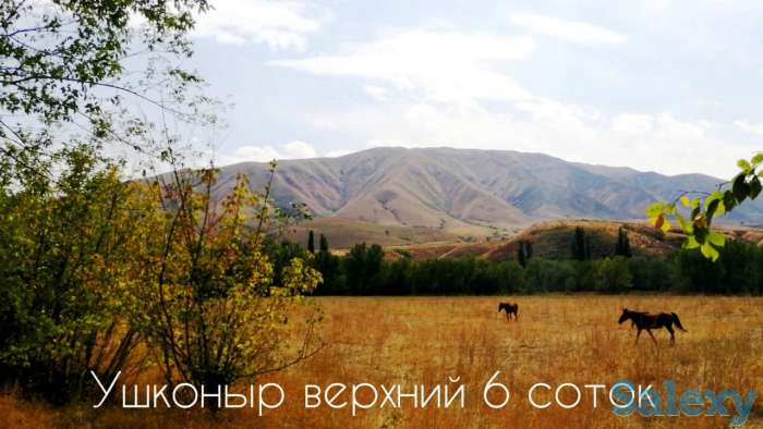 Продам земельный участок, жилой массив Ушконыр верхний, фотография 6