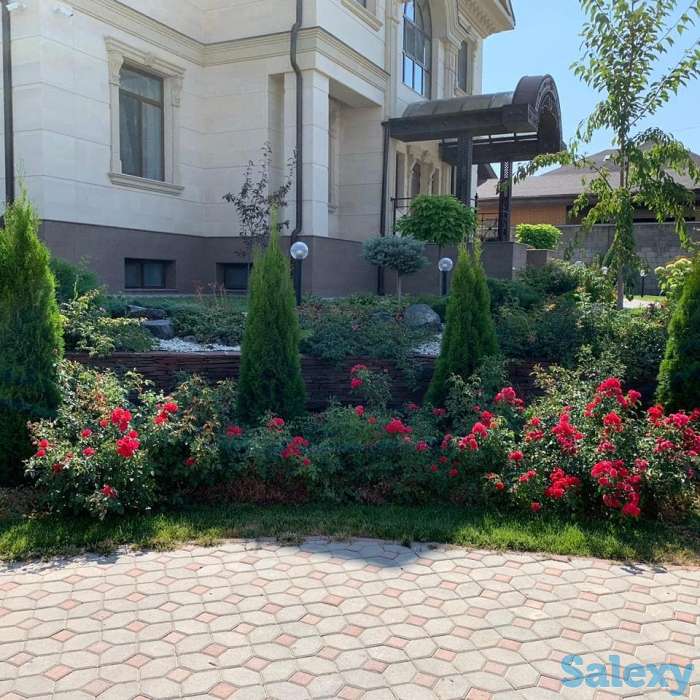 Профессиональный ландшафтный дизайн в Алматы!, фотография 1