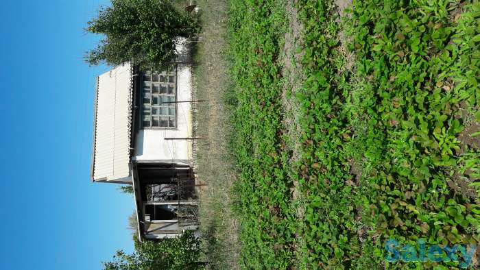 Дача в Алмалы, фотография 1