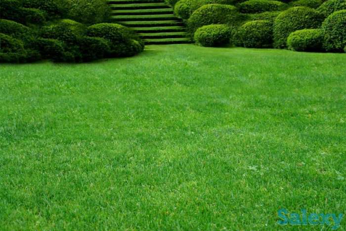 Устройство рулонного газона в Алматы, фотография 5