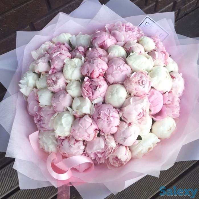 Пионы Алматы. Свежие цветы! Низкие цены! Звоните!, фотография 1