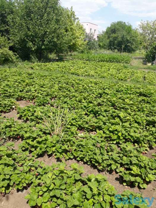 Продажа дачи, фотография 5