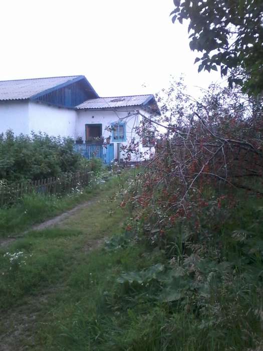 Продам Дом село Урумкай от Щучинска 35км, фотография 1
