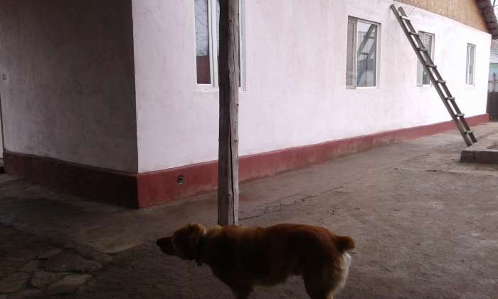 Срочно продам дом, Рахат 39, фотография 4