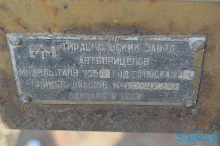 прицеп тапз-755, фотография 3
