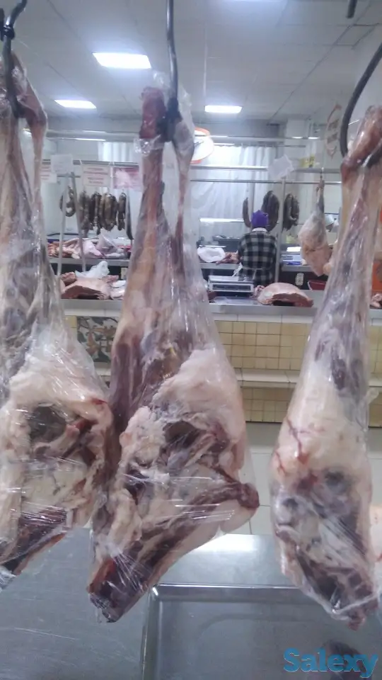 Сдаю в аренду, фотография 1