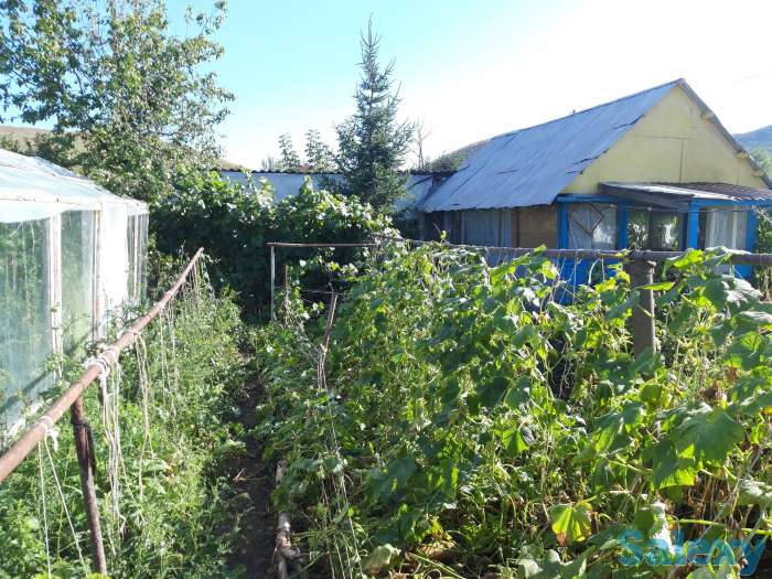 Продам или обмен на квартиру, с.Винное, фотография 3