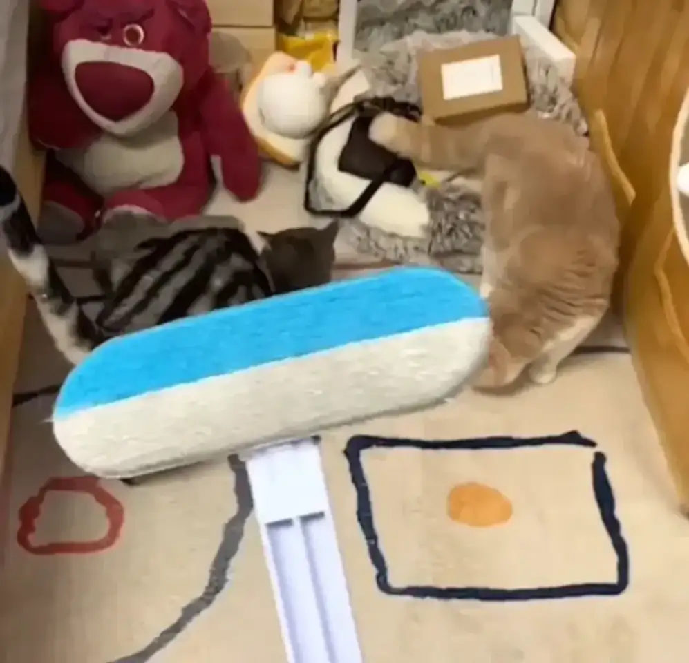 Щётка для сбора шерсти с ковров новая, фотография 1