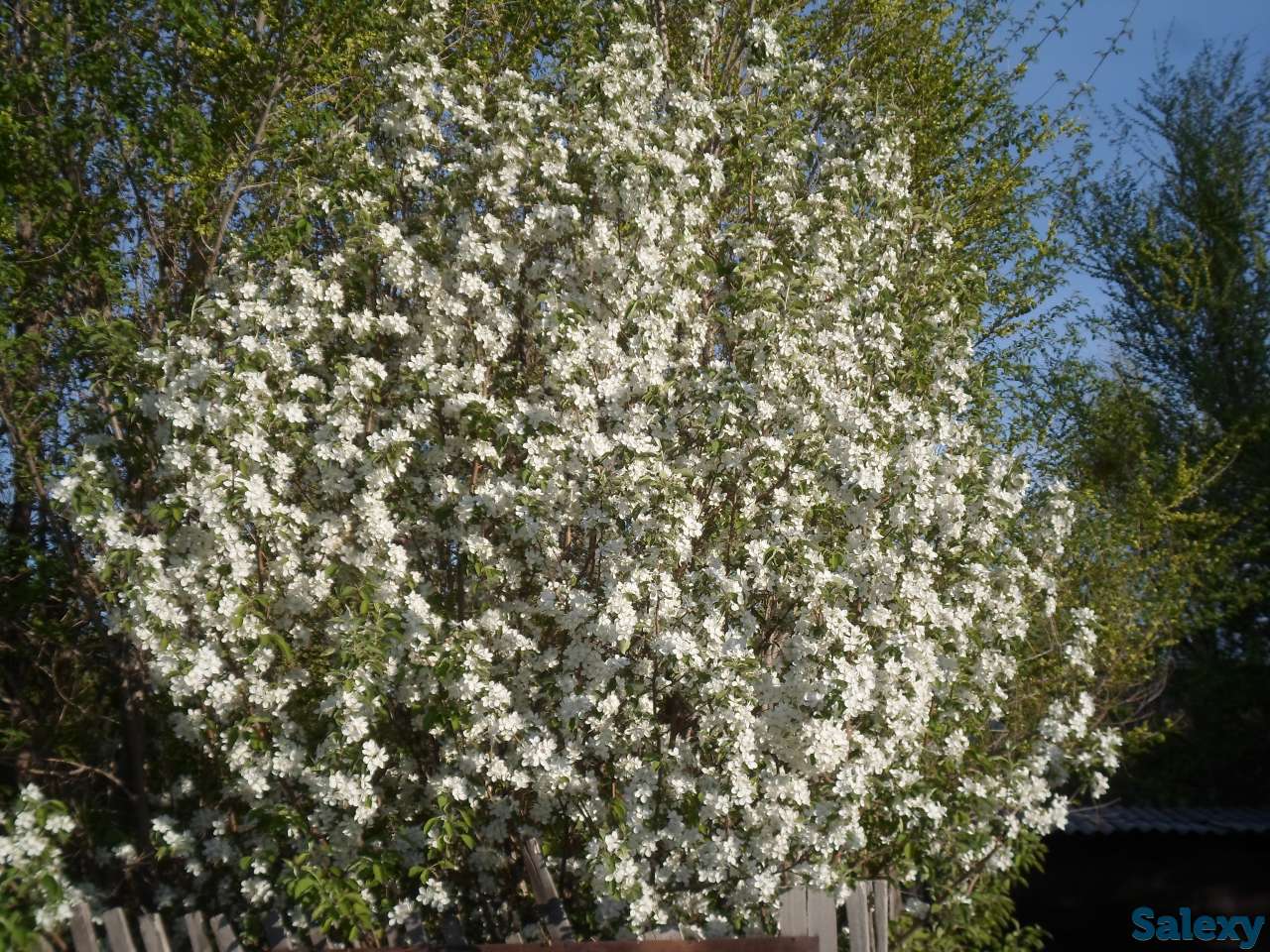 Продается Дом-Мечта, Интернациональная, 30, фотография 8