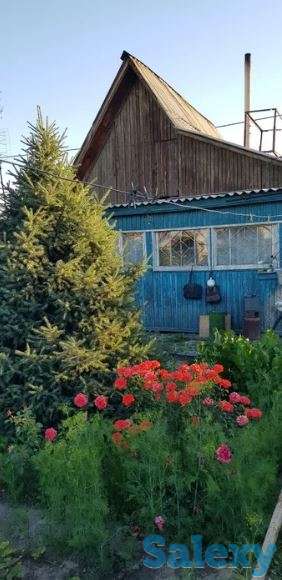 Срочно продам ДАЧУ, Центральная ПМК 19, фотография 3