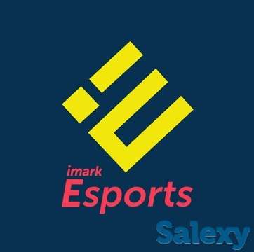 Imark Esports – самое крупное киберспортивное медиа-агентство в Казахстане., фотография 1