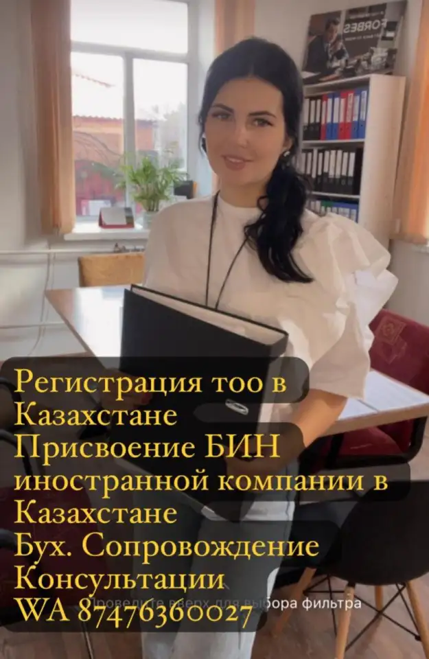 Регистрация ТОО в Казахстане. Присвоение Бин. Отчетность. Услуги бухгалтера, фотография 1
