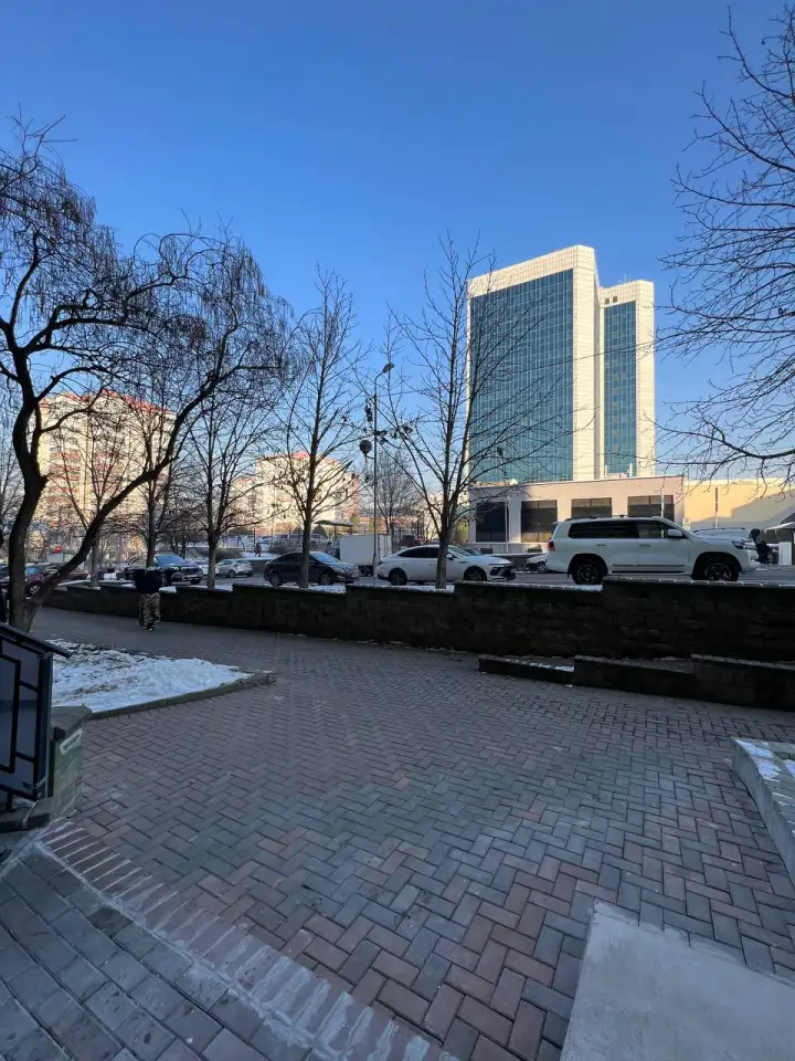 Готовый арендный бизнес с доходом 3 млн, Самал 2, 105, фотография 6