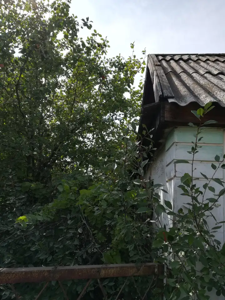 Дачный участок в обществе Локомотив, фотография 3