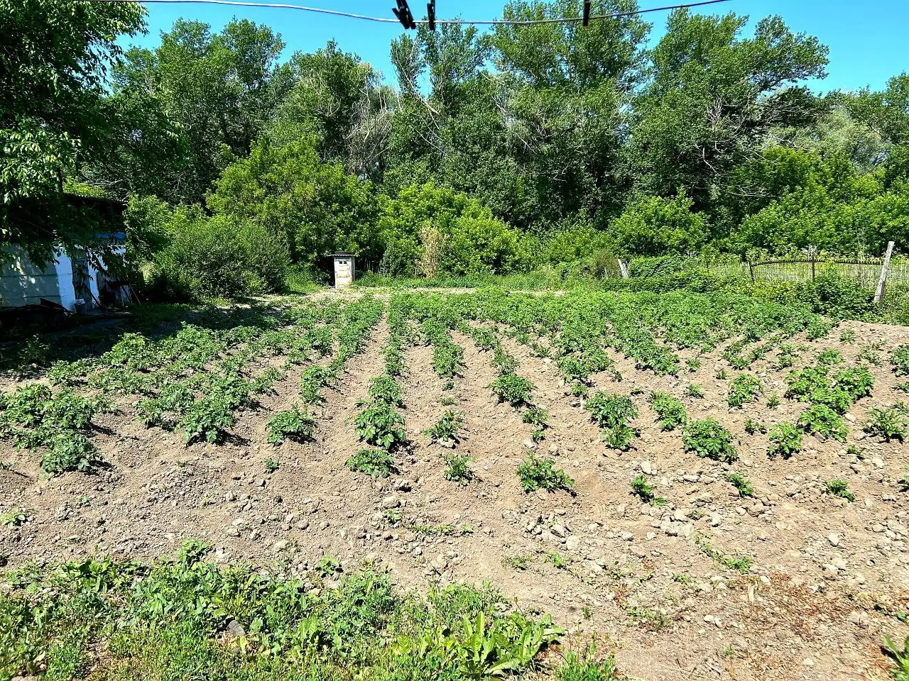 Продаётся дом, Береговая 7, фотография 7