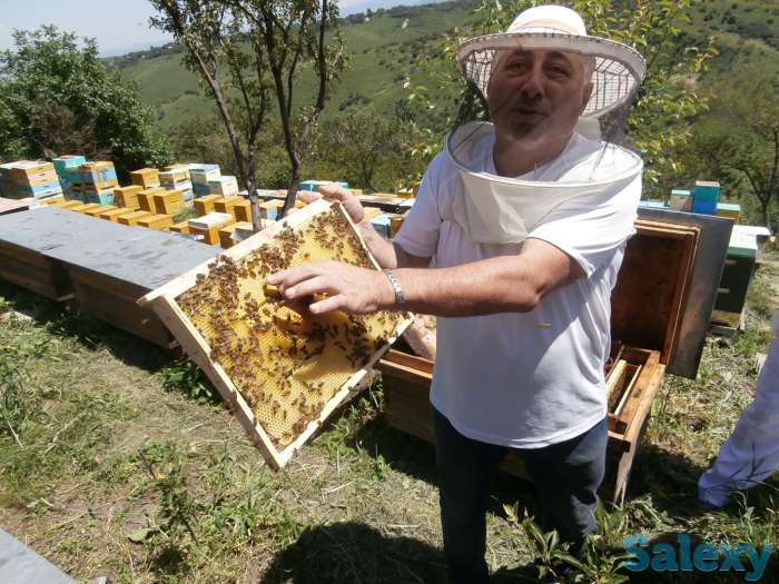 Агротур «Медовый» для жителей и гостей города Алматы!, фотография 4