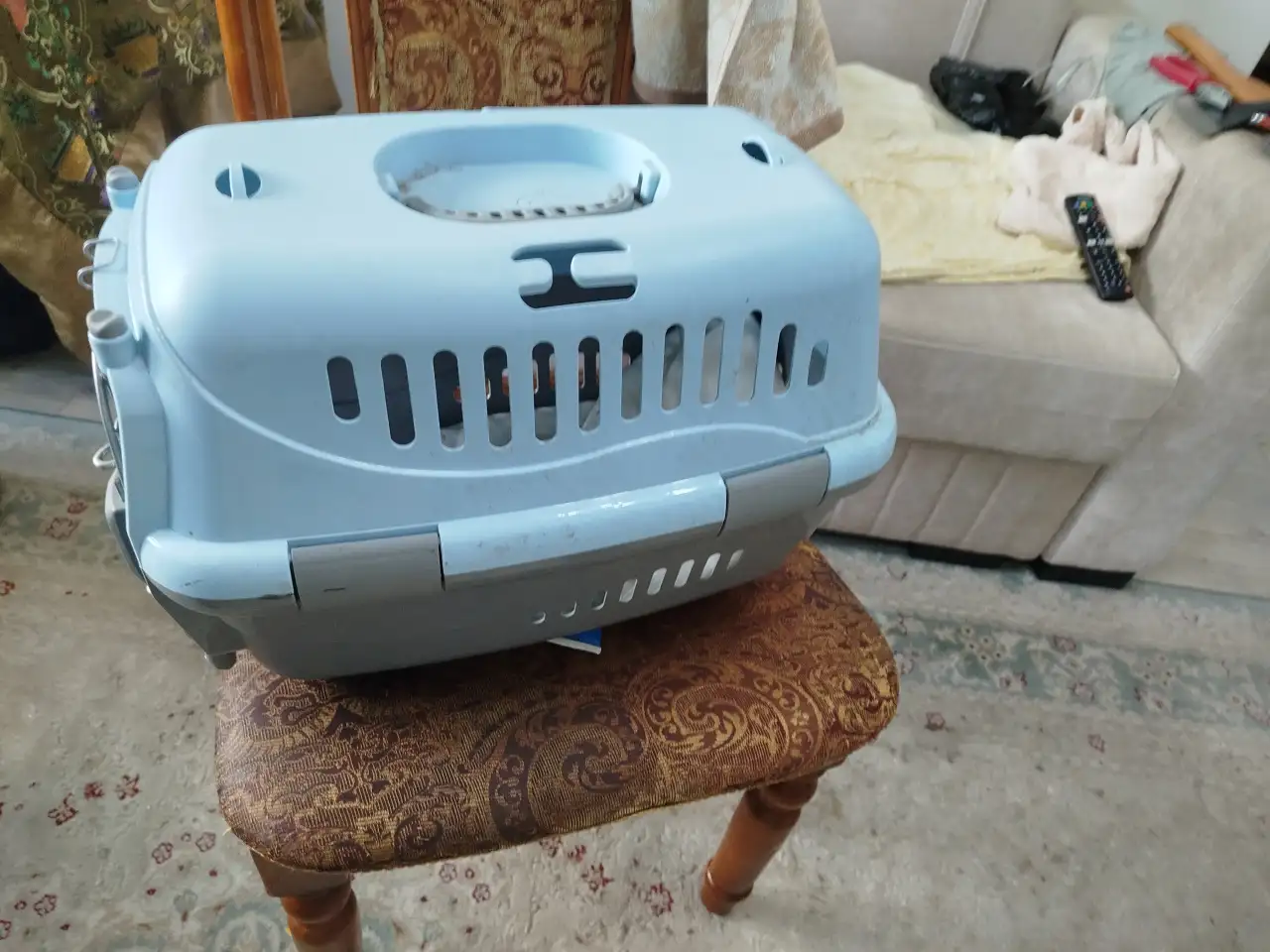 Переноска для любимого кота, фотография 7