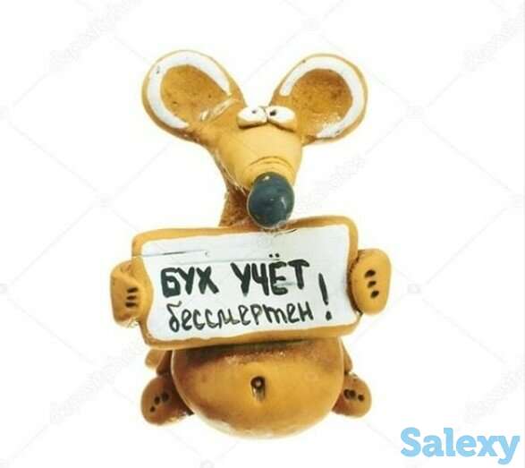 Ведение бухгалтерского и налогового учёта, фотография 1