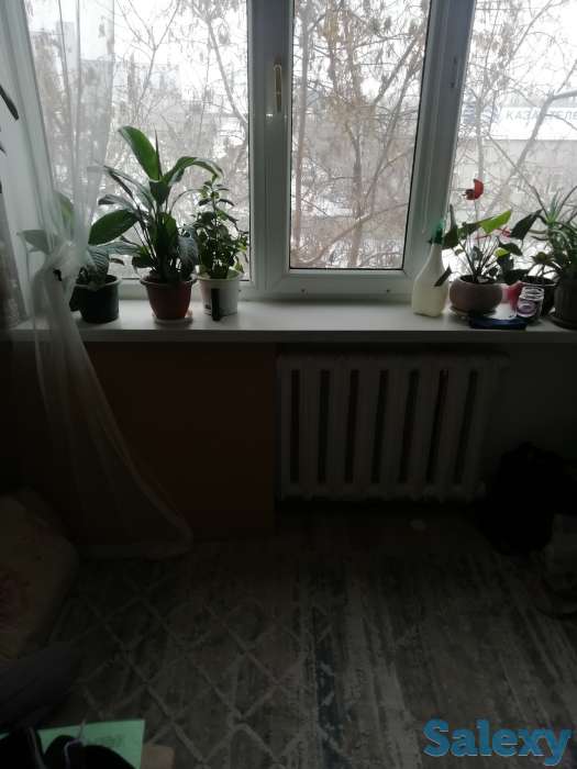 Квартира, Республики 71, фотография 2