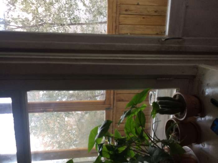 Срочно продам двух комнатную квартиру на ул космическая, фотография 3