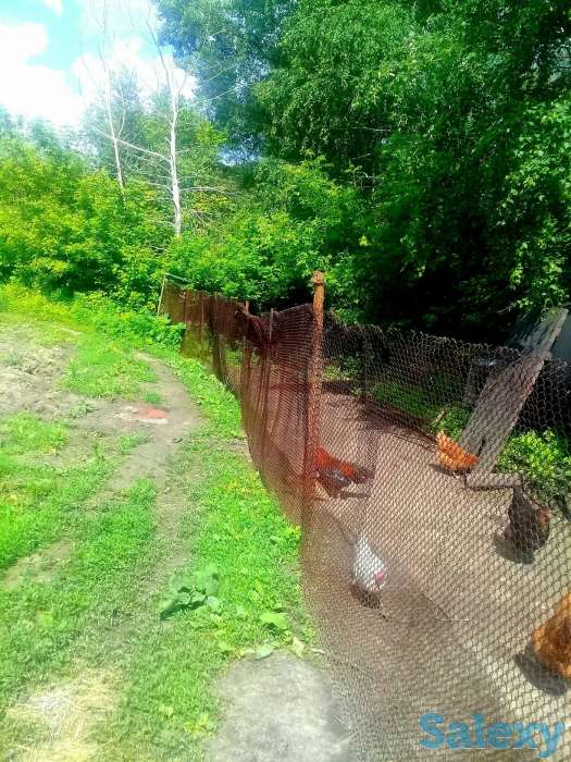 Продам дом в п. Глубокое, ул.Степная 120, фотография 11