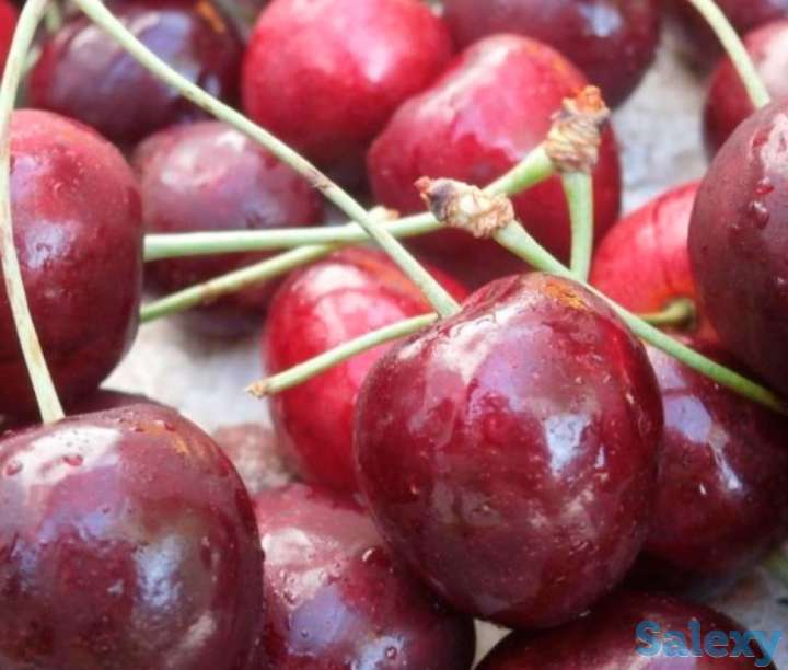Черешня колированная (ягода)., фотография 2