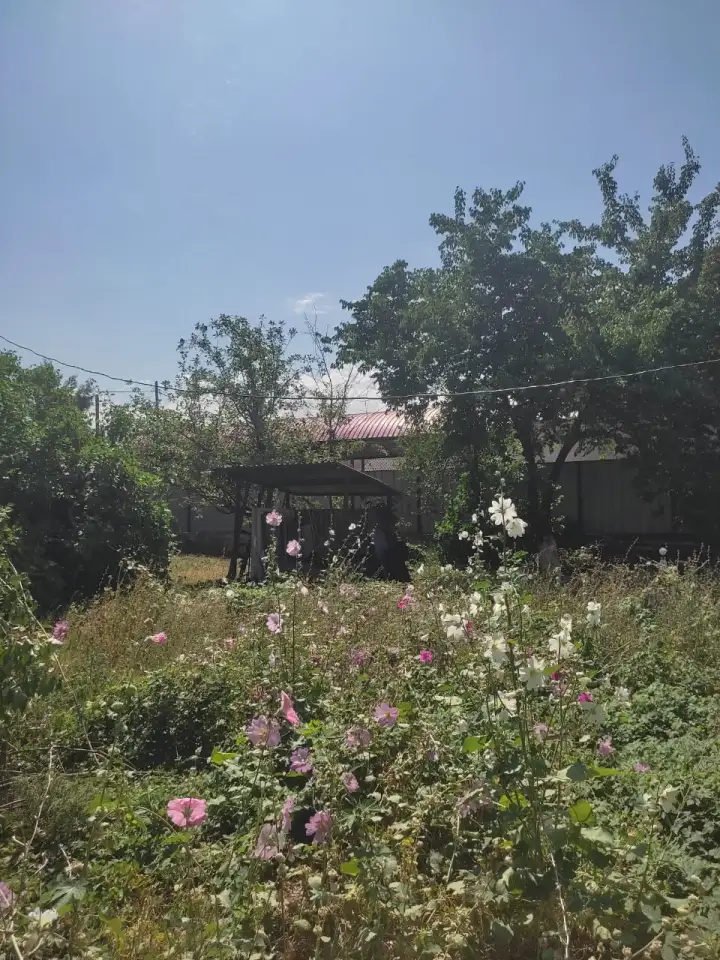 Предлагаю вашему вниманию двухэтажный кирпичный дом в микрорайоне Думан., фотография 2