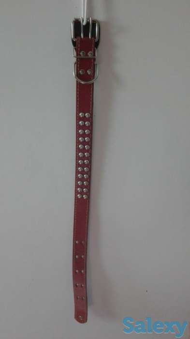 Ошейники и поводки для собак, фотография 3