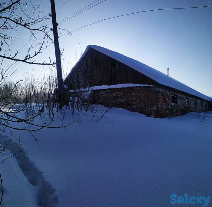 продам свинокомплекс, фотография 4