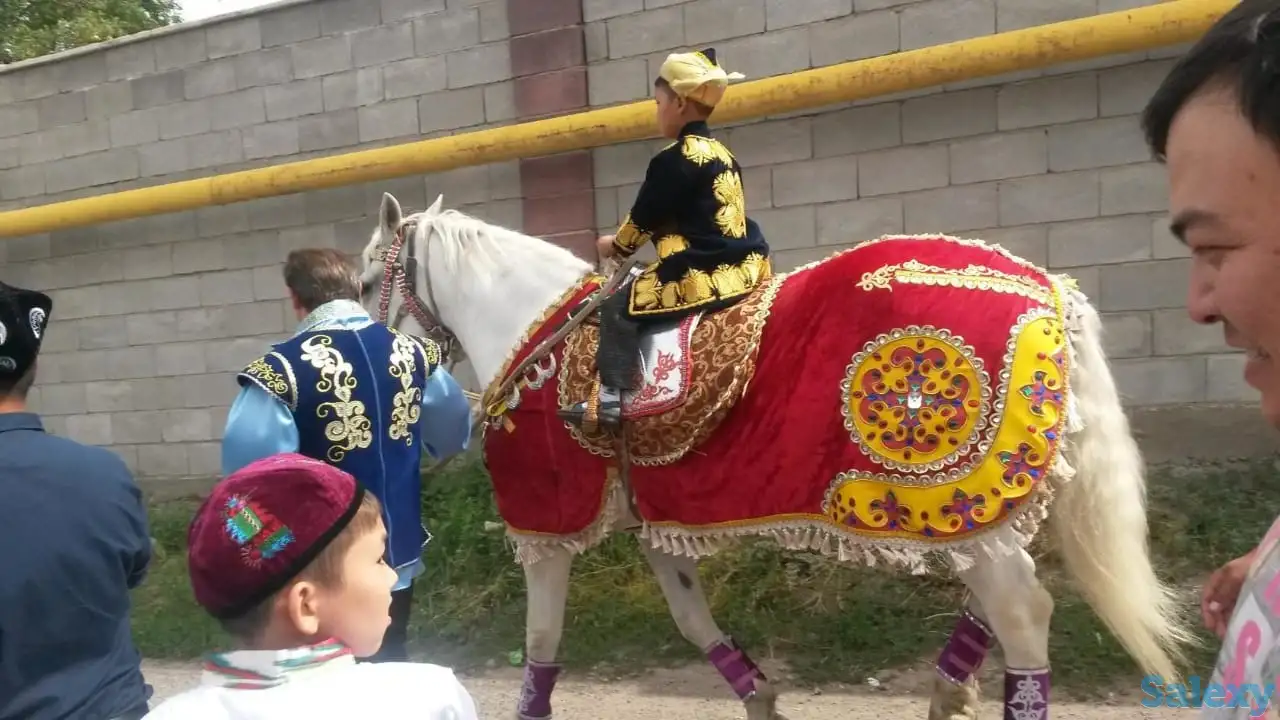 продам папону на лошадь для  праздника, фотография 1