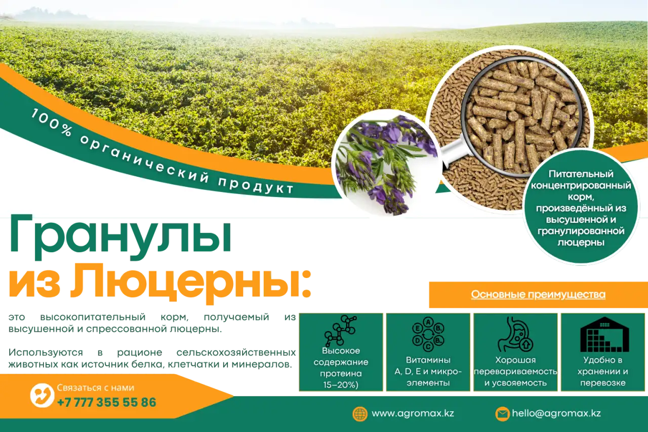 Гранулы из люцерны, фотография 1