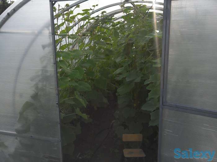 Дом, с.Сосновый Бор Клановая 16, фотография 8