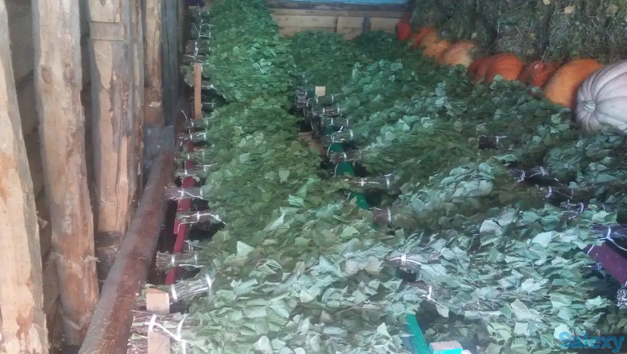 принимаю заявки на заготовку веников березовых для бани, фотография 1