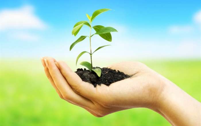 Психолог. скайп-консультации, помощь при психосоматических заболеваниях., фотография 1