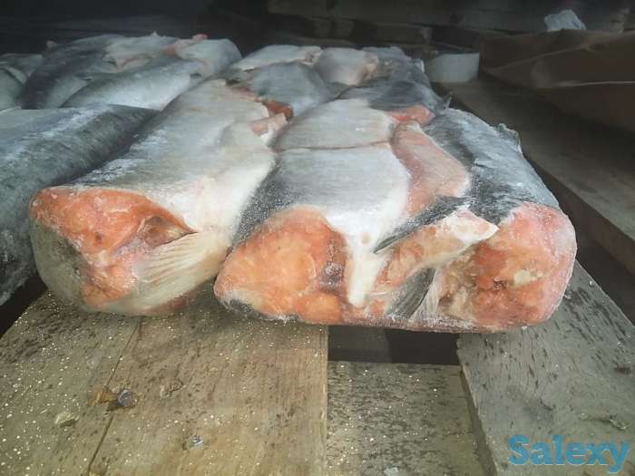 Морепродукты, фотография 4