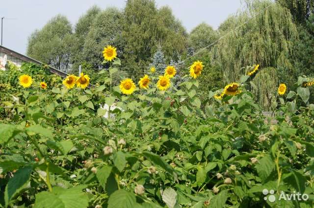 Коттедж 61 м² на участке 12 сот., фотография 9