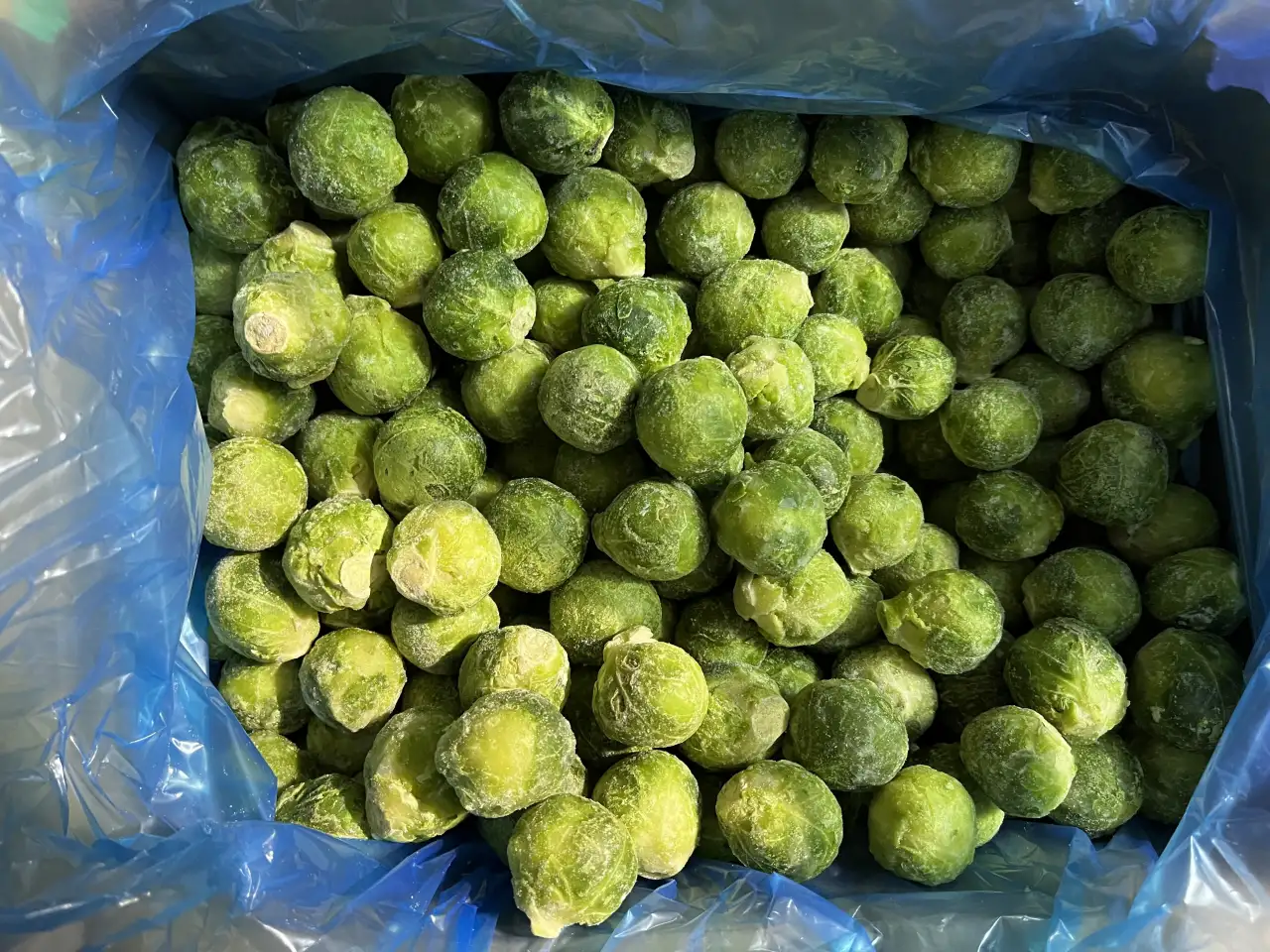 Замороженные овощи и смеси оптомрозницу, фотография 2