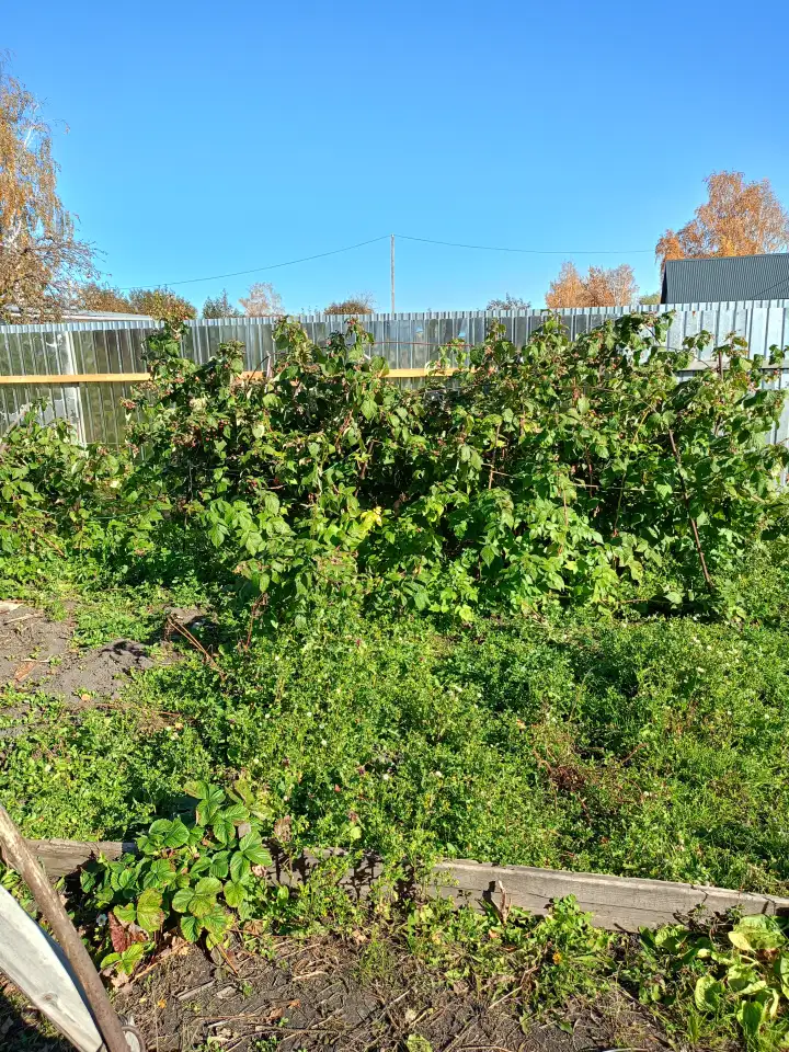 Дача в ст Борки, 6,7соток, фотография 2