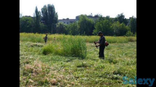 Покос Стрижка травы, фотография 5