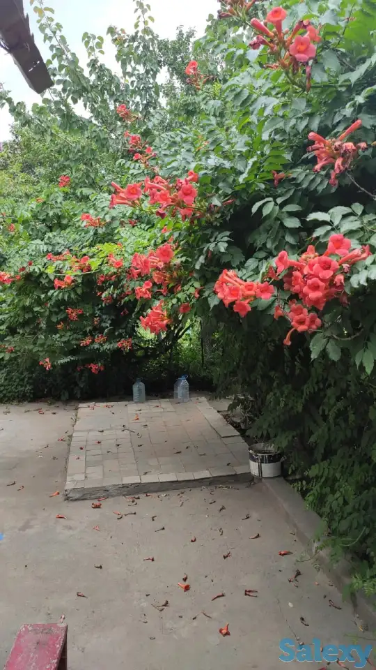 Дача 15 соток, Алматинская область, Талгарский район, с.о. Кендалинский, с. Кендала, с/т Медик-, фотография 17