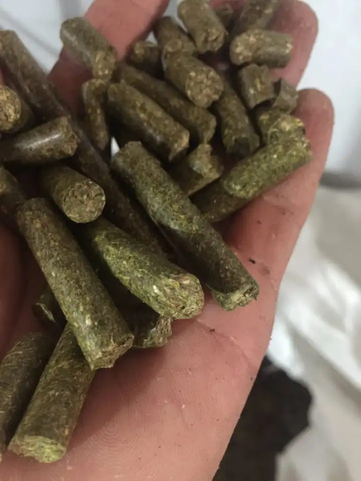 Люцерна в гранулах, фотография 2