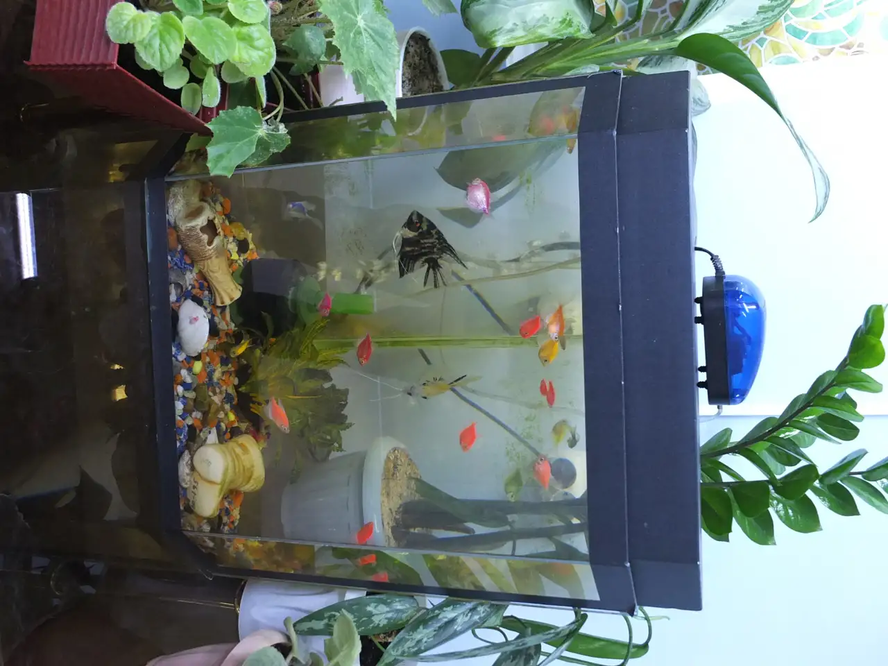 Стомотология, фотография 4