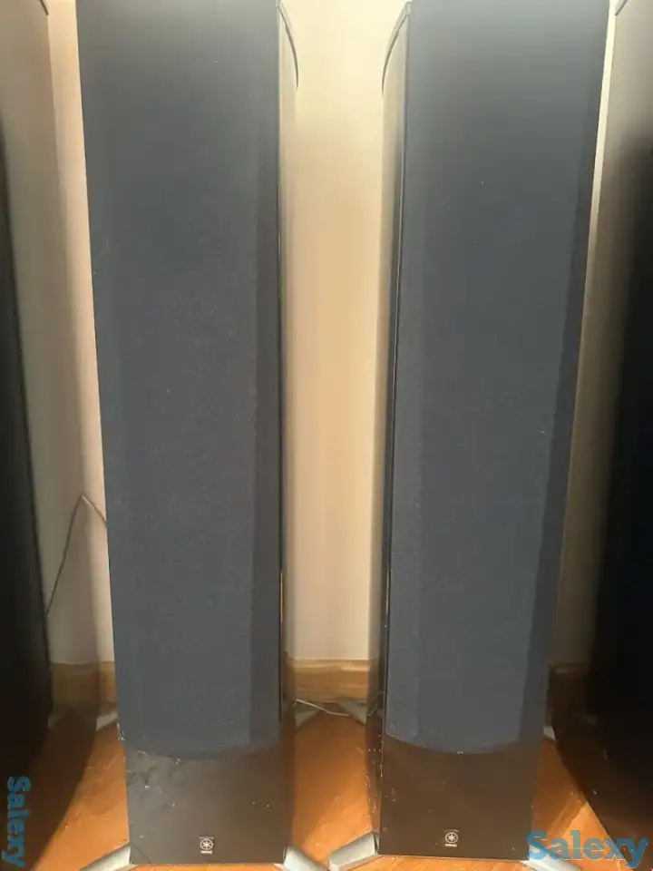 Yamaha NS—555, фотография 1